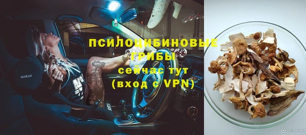 PSILOCYBIN Елизово