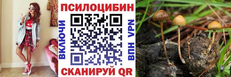 Псилоцибиновые грибы мухоморы  купить наркотик  Бердск 