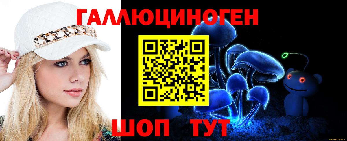 Галлюциногенные грибы мицелий  Псилоцибиновые грибы Magic Shrooms  Бердск  Вход с VPN 