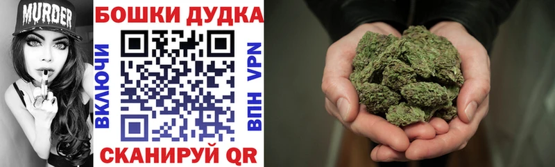 OMG как зайти  Бердск  МАРИХУАНА ГИДРОПОН 